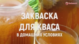 Закваска для кваса в домашних условиях - самый простой и быстрый рецепт!
