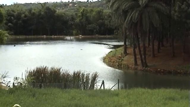 Bird Parc Vale Verde Belo Horizonte Brasil by Harry Geurts C2013 Belgium Brasil смотреть онлайн