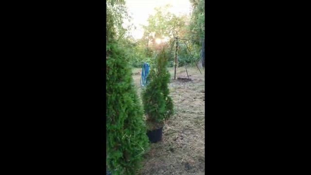 Продажа дачи в п. Затон смотреть онлайн