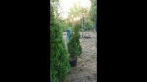 Продажа дачи в п. Затон