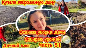 Моя Дача в Октябре/Осенняя уборка на даче/Собираем урожай на даче/Площадка под газон