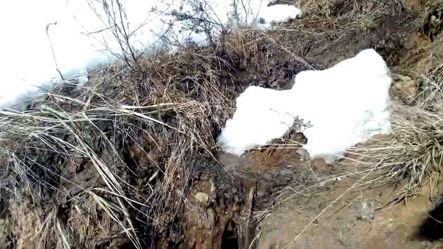 В Ярославль пришла весна. смотреть онлайн