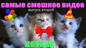 Удивительные животные выпуск второй 2