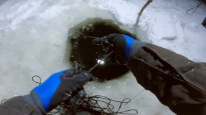 ПЕРЕМЕТ НА НАЛИМА | НАЧАЛО | СЕЗОН 2024 - 2025