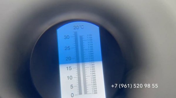 Самый сладкий виноград 3 сентября 2024 год. Новороссийск Краснодарского края.