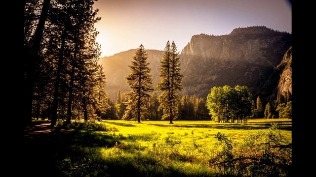 Revolution-Long-Version смотреть онлайн