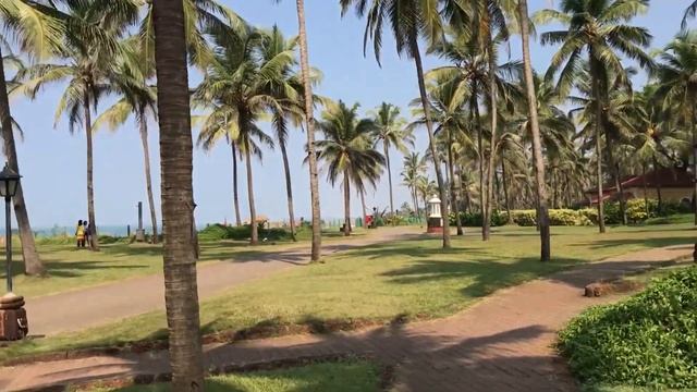 Taj Holiday Village, Северный Гоа, Синкерим. Обзор отеля. смотреть онлайн