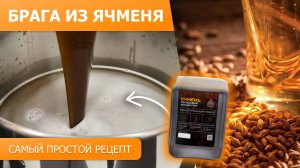 Брага на ячменном концентрате || Самый простой рецепт