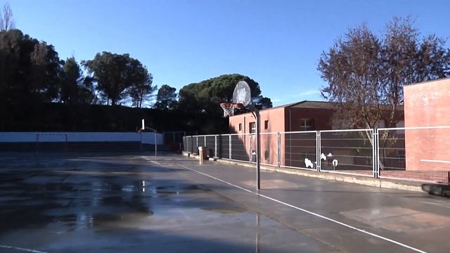 L'Escola Carles Faust de Blanes inaugura un Mural Inclusiu смотреть онлайн