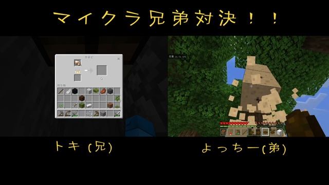【マイクラ兄弟対決】こっちちゃんねる смотреть онлайн