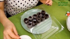Выращивание КЛУБНИКИ из семян в ТОРФЯНЫХ ТАБЛЕТКАХ! Советы от ЗЕЛЕНОГО ОГОРОДА!.