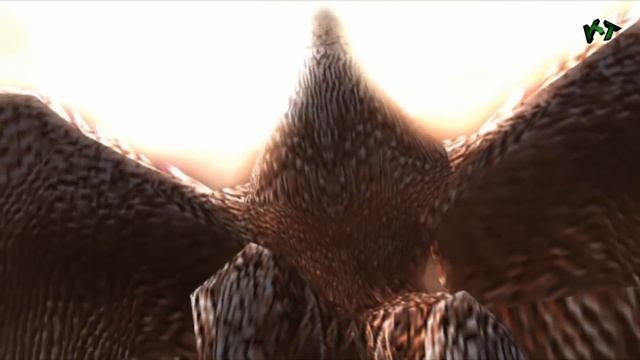 God of War 2 HD Walkthrough parte 13 Español смотреть онлайн