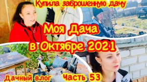 Купила заброшенную дачу/Моя Дача в октябре/Чем заняться осенью на даче?/Преображение дачи