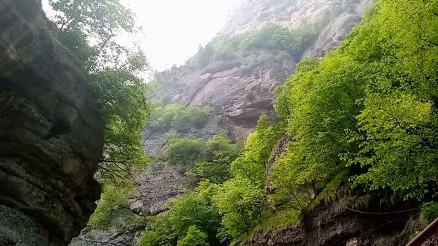 Да! Да! Да! Да! Да! Это Кавказ! 2024 г смотреть онлайн