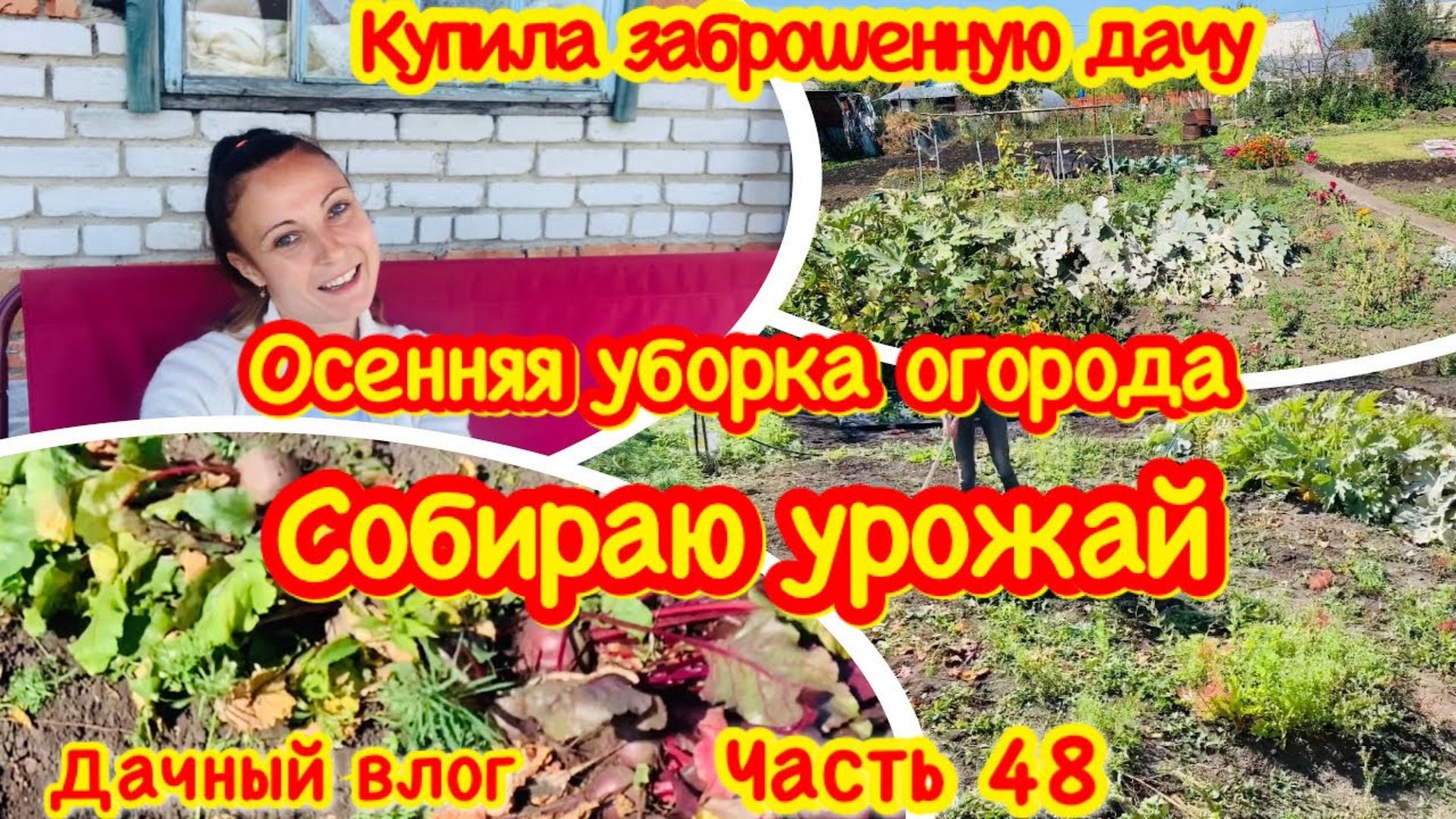 КУПИЛА ЗАБРОШЕННУЮ ДАЧУ/ОСЕННЯЯ УБОРКА ОГОРОДА НА ДАЧЕ/СОБИРАЮ УРОЖАЙ В СЕНТЯБРЕ/ДАЧА В СЕНТЯБРЕ