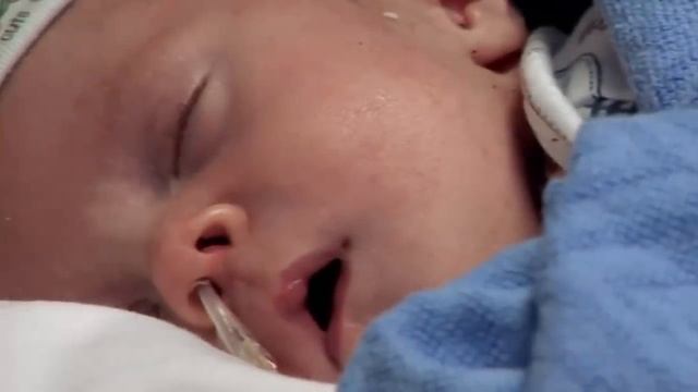 МОЗГ на вынос - ТОП-факты о содержимом черепной коробки смотреть онлайн