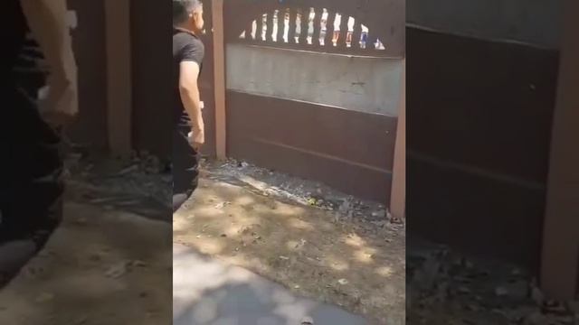 Ловушка для идиота ☝️😉😂 смотреть онлайн