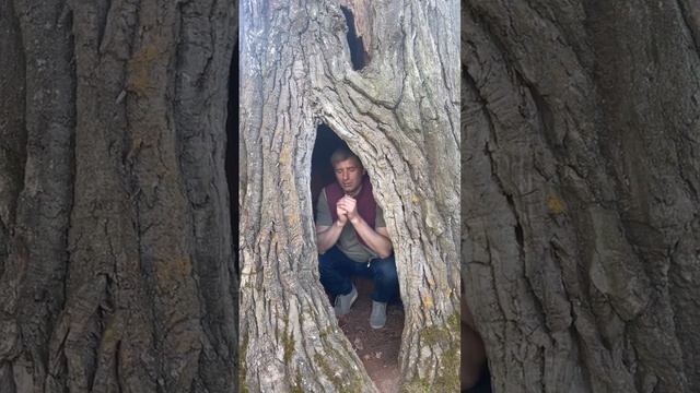 «Это диверсия»: основатель Zenden рассказал, к чему приведёт пересмотр налогов смотреть онлайн