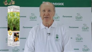 Виноград! Лучшие сорта! Дегустация.