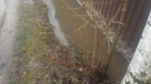 Дренажная канава, решение проблемы с водой на участке!