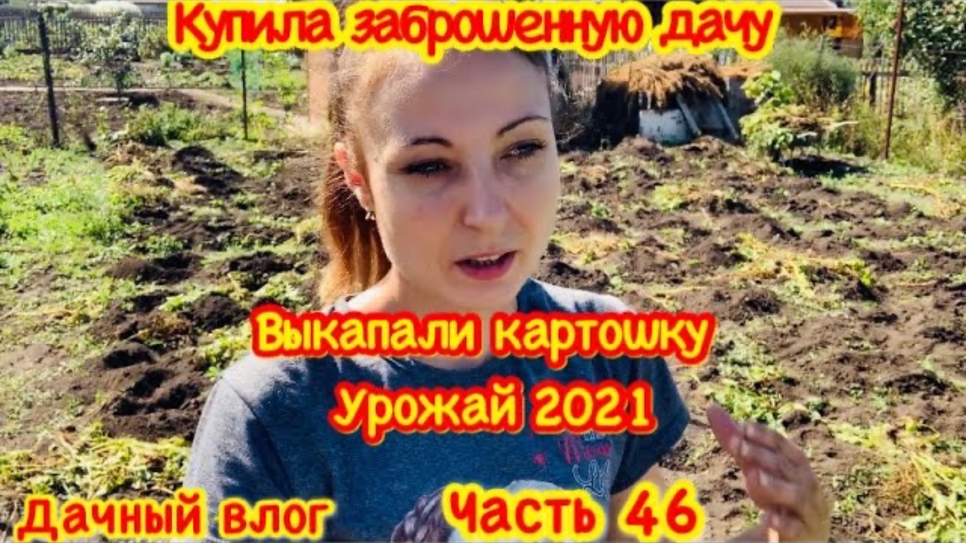 ВЫКАПАЛИ КАРТОШКУ/ПОСАДКА КЛУБНИКИ ОСЕНЬЮ/ВЫХОДНЫЕ НА ДАЧЕ/У МЕНЯ ПОЯВИЛСЯ УХАЖЕР