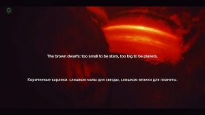 Жизнь вовне. ч.2. Музей инопланетной жизни. (Дубляж "Ты просто космос!")