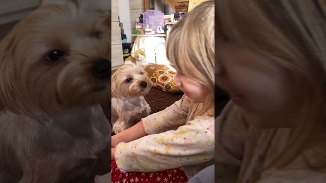 Искренняя любовь