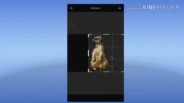 Photo.Cut часть 2 внутренний обрезка смотреть онлайн