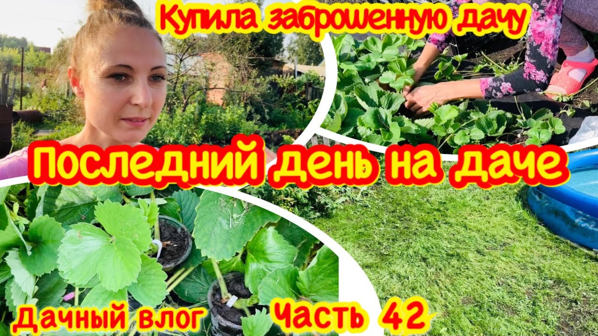 КУПИЛА ЗАБРОШЕННУЮ ДАЧУ/ПОСЛЕДНИЙ ДЕНЬ НА ДАЧЕ/ПОДСТРИГЛИ ГАЗОН ТРИММЕРОМ/РАЗМНОЖАЮ КЛУБНИКУ