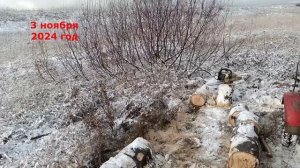 Заготовка Дрова. Распиловка дрова бензопилой Штиль 250. Наступила Ноябрьский Зима.