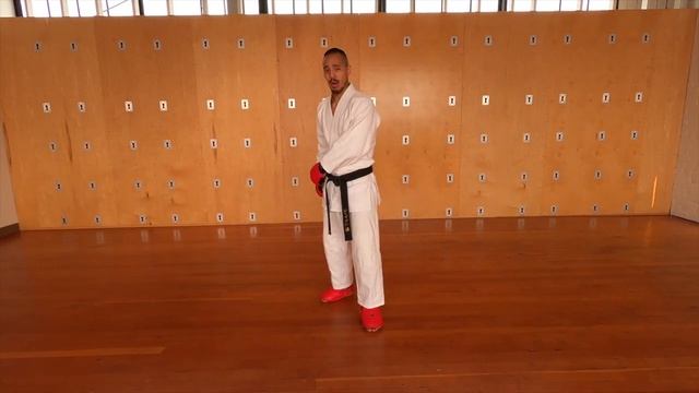 Джейсон Льюнг. Кумитэ стратегии и советы