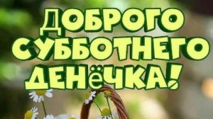 Замечательной субботы!