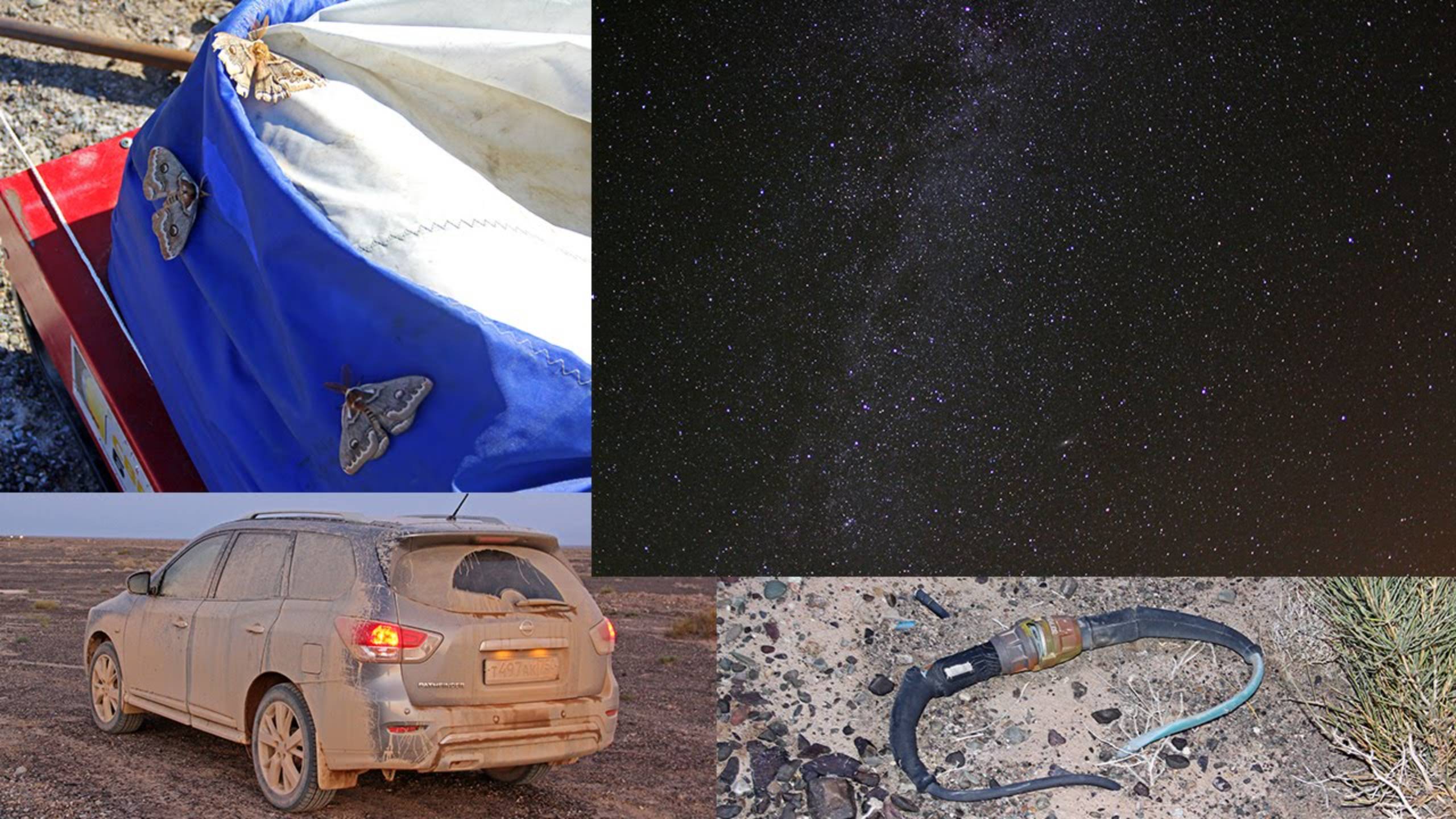 Алексей Смирнов о кроссовере Nissan Pathfinder смотреть онлайн