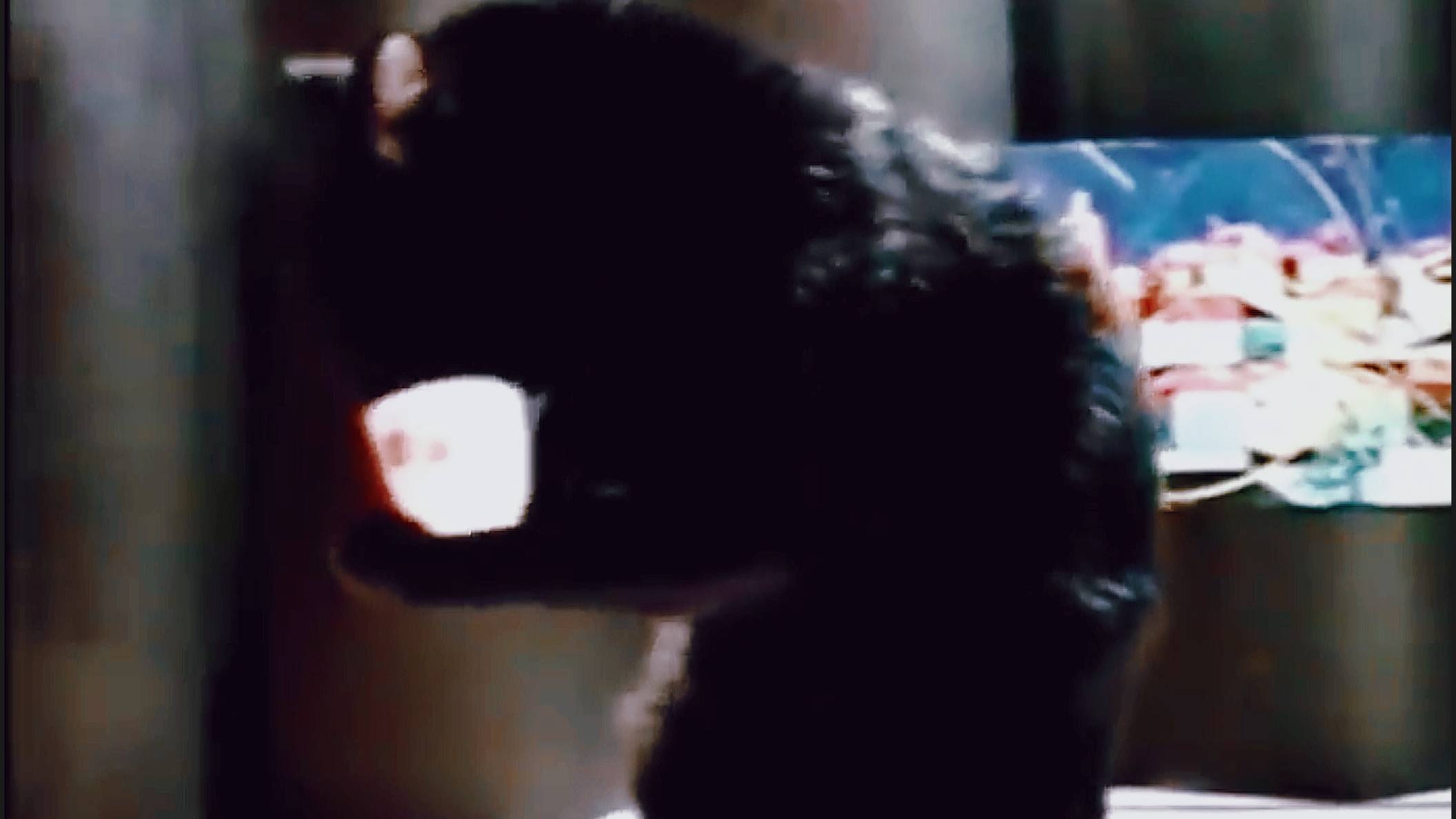 Мой любимый кот Татоша смотреть онлайн