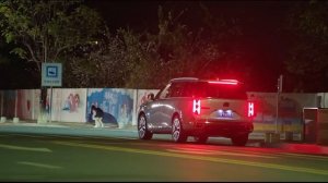 Моя дорогая 1 сезон 1 серия