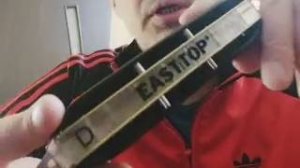 Низкая хроматическая гармошка Easttop Forerunner (D). Демка звучания и пример игры.