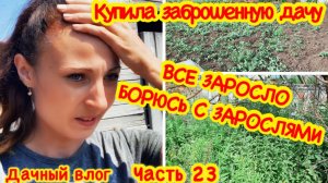 КУПИЛА ЗАБРОШЕННУЮ ДАЧУ/КАК Я ПРИВОЖУ В ПОРЯДОК МОЙ ЗАРОСШИЙ ОГОРОД И ЗАРОСШИЙ УЧАСТОК/ПРОПОЛКА