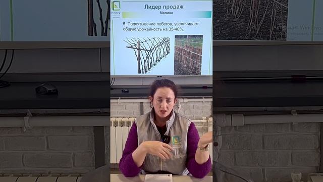 Как увеличить урожай малины. Подвязывание малины. Шпалера своими руками.