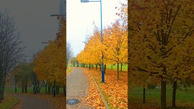 Санкт Петербург смотреть онлайн