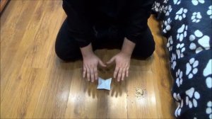 Теликинез  Первый урок