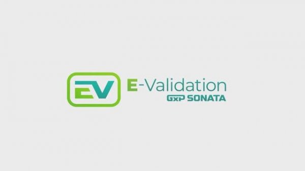 E-validation
