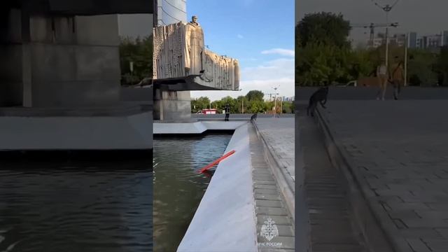 МЧС: в Ростове-на-Дону собака перехитрила спасателей ради купания в фонтане #новости смотреть онлайн