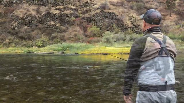 Proper Circle C Spey Cast: Airflo Rage смотреть онлайн
