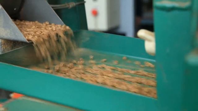 День поля Селекционно-семеноводческой Агрофирмы ПОИСК. Московская область.