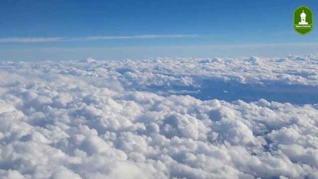 Поучительная притча "Мешок и картофель". Как научиться не злится и не обижаться смотреть онлайн