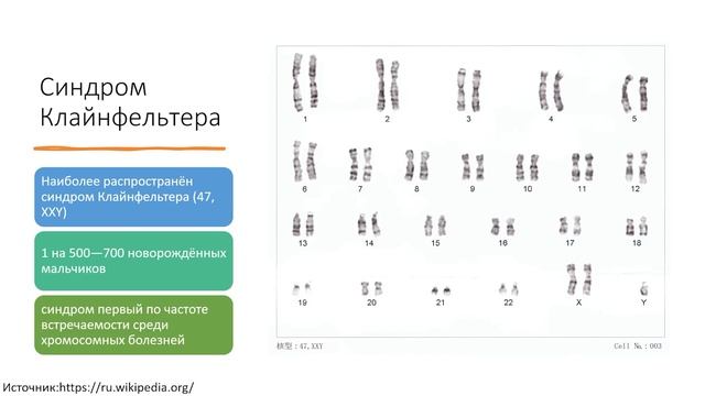 Биология 9 Класс 2 Часть смотреть онлайн