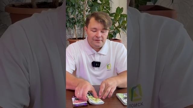 Сорта и гибриды эустомы для посева. Какие сорта и гибриды эустомы посадить для 100% всхожести.