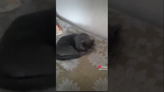 нам печали неведомы смотреть онлайн