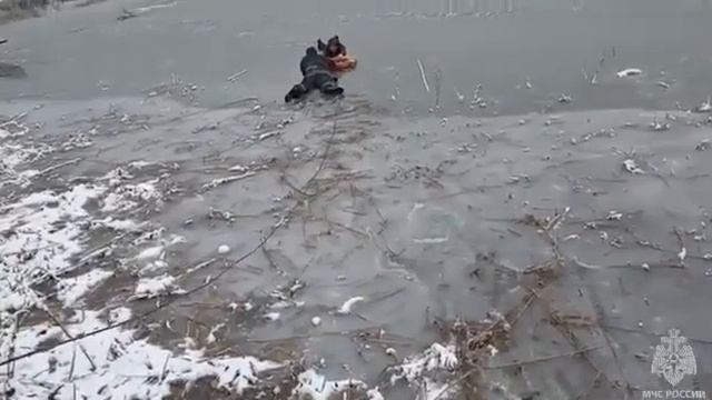 В Сети появилось видео спасения детей, провалившихся в Алчевске под лёд смотреть онлайн
