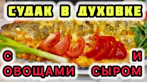 Судак в духовке с овощами и сыром. Как вкусно приготовить судака в домашних условиях
